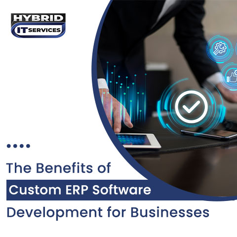 administrator/Benefits of Custom ERP Software for Businesses
