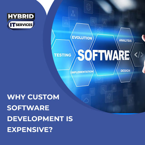 administrator/Why Custom Software Development is Expensive?