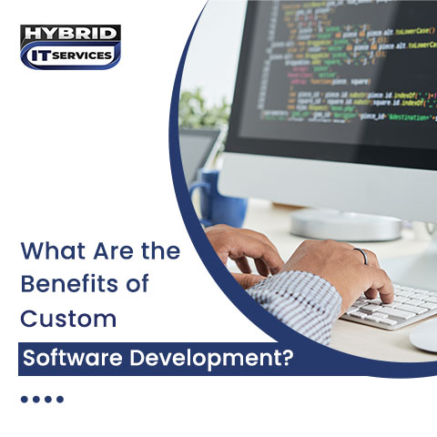 administrator/benefits of custom software development
