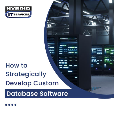 administrator/How to Strategically Develop Custom Database Software