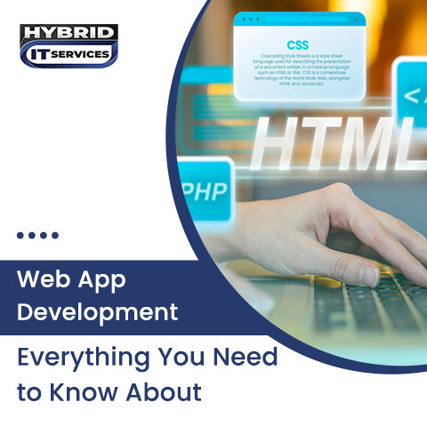 administrator/Web App Development: Everything You Need to Know