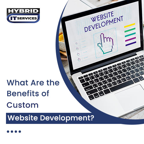 administrator/What Are the Benefits of Custom Website Development