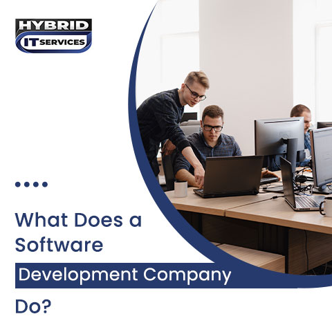 administrator/What Does a Software Development Company Do